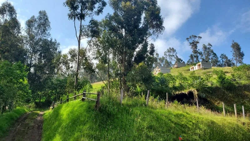 Saphi Yoga Farm - Trimurti Yoga Ecuador Los Andes